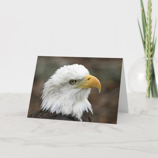 Amerikaans Kaal Eagle 2 Wenskaart Kaart (Voorkant)
