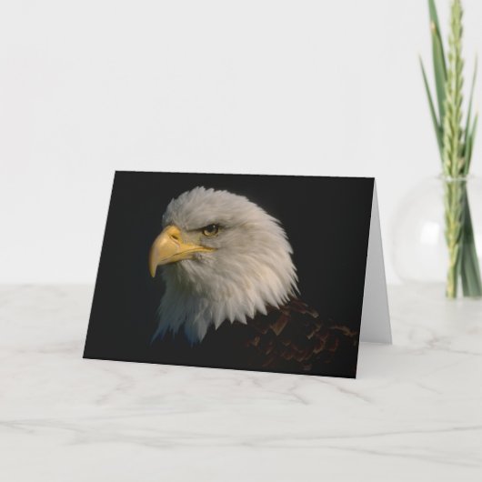 Amerikaans Kaal Eagle Kaart (Voorkant)