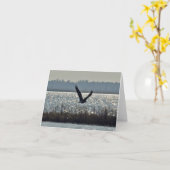 Amerikaans Kaal Eagle Kaart (Gele Bloem)