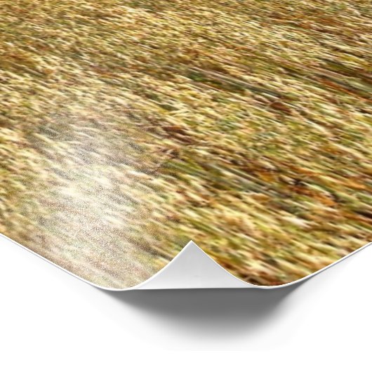 Amerikaans land foto afdruk (Hoek)