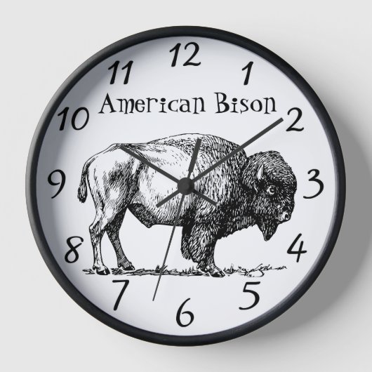 Amerikaans lijst van Buffalo Bison (Voorkant)