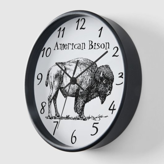 Amerikaans lijst van Buffalo Bison (Hoek)