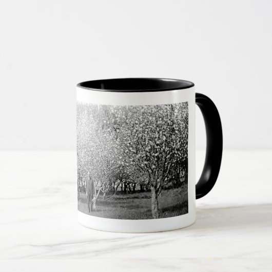 Amerikaans Man in Orchard Echte Foto Koffie Mok (Voorkant rechts)