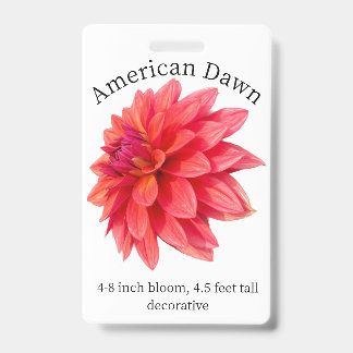 Amerikaans ochtend-dahlia ID-badge Badge