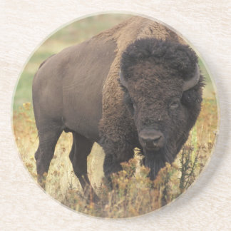 Amerikaans Onderzetter van Bison Sandstone