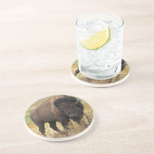 Amerikaans Onderzetter van Bison Sandstone (Zijkant)