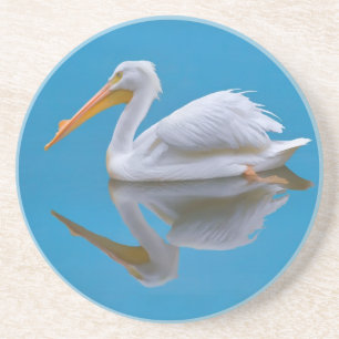 Amerikaans Onderzetter van de Pelican