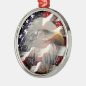 Amerikaans Ornament van de Eagle Flag Round (Links)
