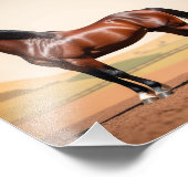 Amerikaans paard foto afdruk (Hoek)