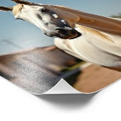 Amerikaans paard foto afdruk (Hoek)