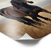 Amerikaans paard foto afdruk (Hoek)