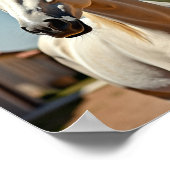 Amerikaans paard poster (Hoek)