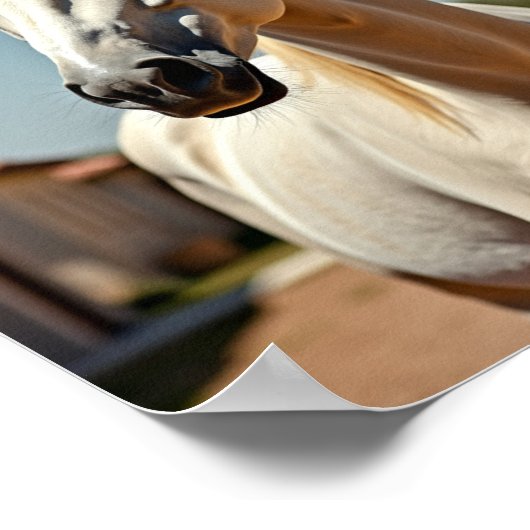 Amerikaans paard poster (Hoek)