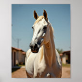 Amerikaans paard poster (Voorkant)