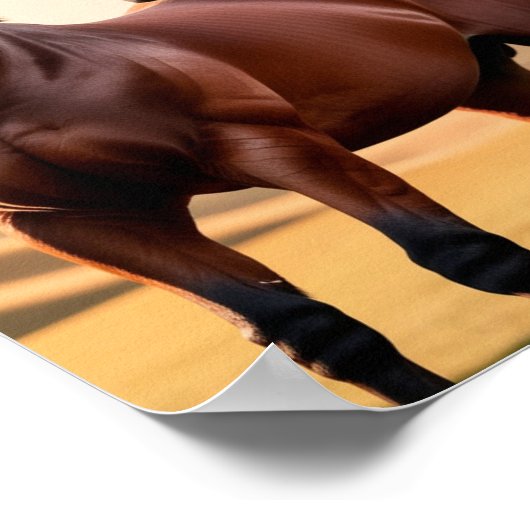 Amerikaans paard poster (Hoek)