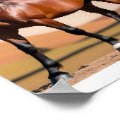 Amerikaans paard poster (Hoek)