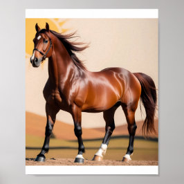 Amerikaans paard poster