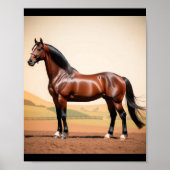 Amerikaans paard poster (Voorkant)