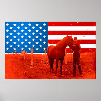 Amerikaans paard poster