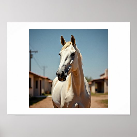 Amerikaans paard poster (Voorkant)