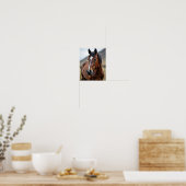 Amerikaans paard poster (Keuken)