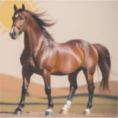 Amerikaans paard sticker (Voorkant)