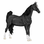 Amerikaans paard van zadelras fotobeeldje sleutelhanger<br><div class="desc">Mijn mooie,  zwarte,  Amerikaanse Saddlebred,  paard sleutelhanger is perfect voor paardenliefhebbers over de hele wereld. Tekeningen ©Sally Lannier/Painted Dreams Design</div>