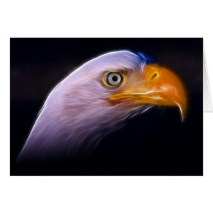 Amerikaans patriottisch Bald Eagle, nationaal symb