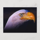 Amerikaans patriottisch Bald Eagle, nationaal symb Briefkaart (Voorkant)