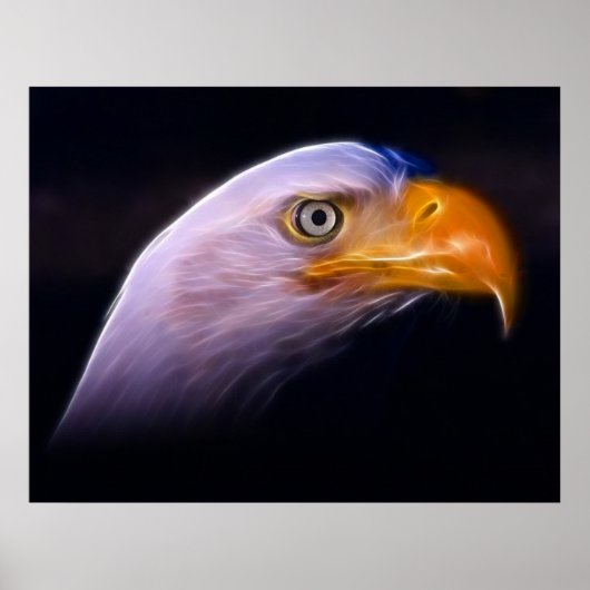 Amerikaans patriottisch Bald Eagle, nationaal symb Poster (Voorkant)