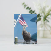 Amerikaans Pelicaans Briefkaart (Staand voorkant)