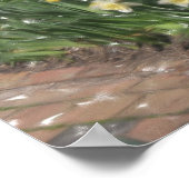 Amerikaans porch poster (Hoek)