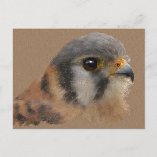 Amerikaans portret briefkaart (Voorkant)