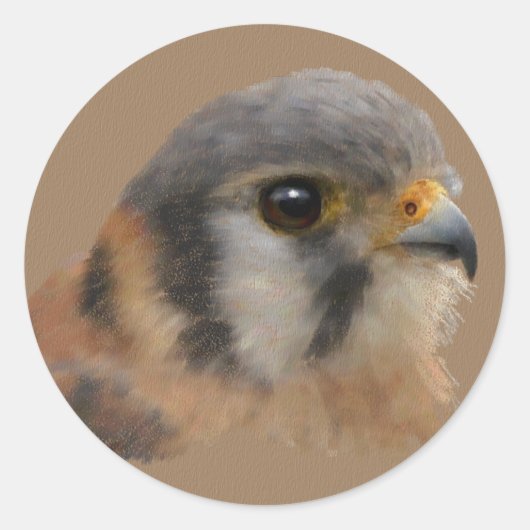 Amerikaans portret ronde sticker (Voorkant)