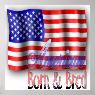 Amerikaans Poster