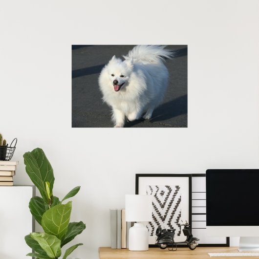 Amerikaans poster (Thuiskantoor)