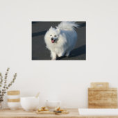 Amerikaans poster (Keuken)