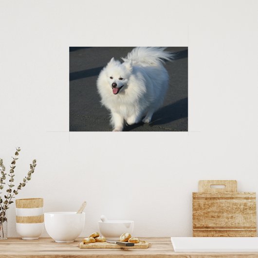 Amerikaans poster (Keuken)