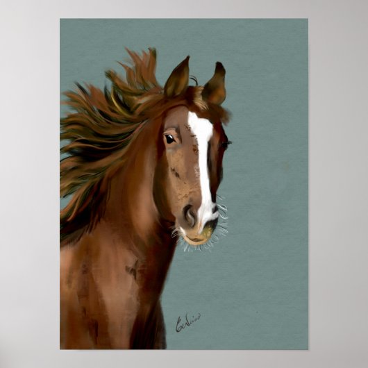 Amerikaans Poster (Voorkant)