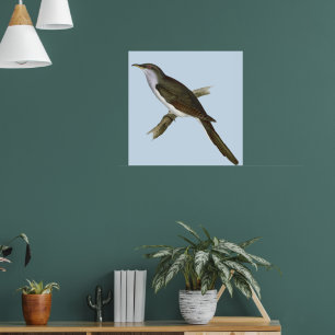 Amerikaans Poster van Cuckoo Bird