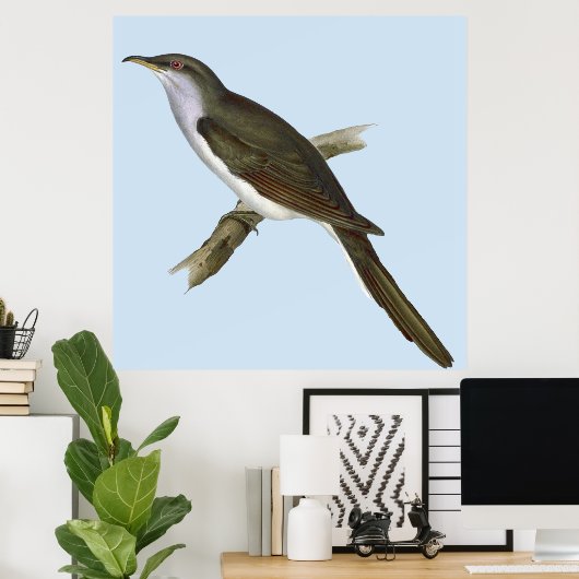 Amerikaans Poster van Cuckoo Bird (Thuiskantoor)