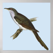 Amerikaans Poster van Cuckoo Bird (Voorkant)