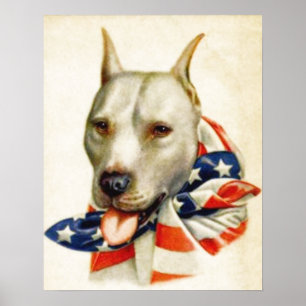 -Amerikaans Poster van de Amerikaanse patriottisch