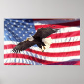 Amerikaans Poster van Eagle en Vlag (Voorkant)