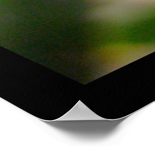 Amerikaans Poster van groene boomkikker (Hoek)