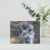 Amerikaans Rhea-portret Briefkaart (Staand voorkant)