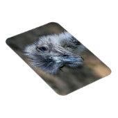 Amerikaans Rhea-portret Magneet (Rechterzijde)