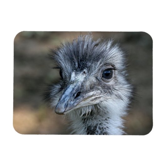 Amerikaans Rhea-portret Magneet (Horizontaal)