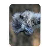 Amerikaans Rhea-portret Magneet (Verticaal)