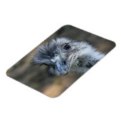 Amerikaans Rhea-portret Magneet (Linkerzijde)